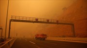 Ξεκίνησε με δωρεά η αναφύτευση στην πυρόπληκτη Λ. Μαραθώνος