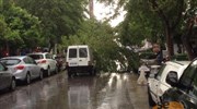 Θεσσαλονίκη: Πτώση δέντρων από ισχυρούς ανέμους