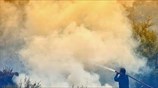 Χαλκιδική: Σε εξέλιξη μεγάλη δασική πυρκαγιά στη Σιθωνία