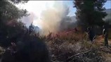 Φωτιά στη Σιθωνία Χαλκιδικής