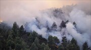 Χαλκιδική-πυρκαγιά: Σε κατάσταση έκτακτης ανάγκης η Σάρτη