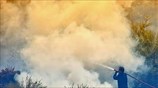 Χαλκιδική: Σε εξέλιξη μεγάλη δασική πυρκαγιά στη Σιθωνία