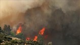 Χαλκιδική: Ολονύχτια μάχη με τις φλόγες στη Σάρτη