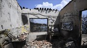 WWF Ελλάς: Γενναίες πολιτικές αποφάσεις για να μη θρηνήσουμε άλλα θύματα από πυρκαγιές