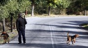 Ιωάννινα: Θανάσιμος τραυματισμός 32χρονου σε κυνήγι αγριογούρουνου
