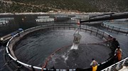 Ποιοι επενδύουν στις υδατοκαλλιέργειες