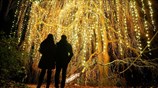 Χριστουγεννιάτικη ατμόσφαιρα στο Βερολίνο