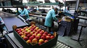 Η τιμή παραμένει ο βασικότερος  ανταγωνιστής ανάμεσα στα κράτη - μέλη