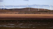 Αυστραλία: Από ανανεώσιμες πηγές το 50% της ηλεκτρικής ενέργειας ως το 2025
