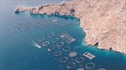 Η μεγαλύτερη «ψαριά» δεν έφερε ανάπτυξη στις ιχθυοκαλλιέργειες