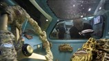 Ιδιαίτερη διακόσμηση στην Αγία Πετρούπολη