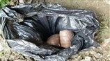 Εντοπισμός κάνναβης στην Κέρκυρα