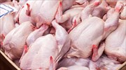 ΗΠΑ: Πάνω από 200 κρούσματα σαλμονέλας μετά την κατανάλωση ωμών προϊόντων γαλοπούλας