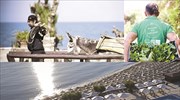 Creta Maris Beach Resort Κοινωνική προσφορά με κέντρο  τον άνθρωπο, το περιβάλλον  και την αγάπη για την Κρήτη