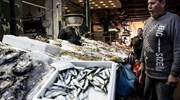 Οικονομική Αστυνομία: Έλεγχοι σε επιχειρήσεις εμπορίας ολοθουρίων και ψαριών