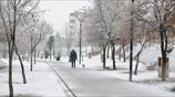 Η «Σοφία» ντύνει την Ελλάδα στα λευκά