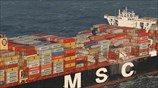 Ολλανδία: Επικίνδυνα χημικά σε ακτές
