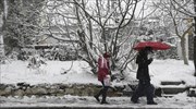 Λάρισα: Προβλήματα ηλεκτροδότησης σε περιοχές των Φαρσάλων