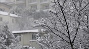 Σε ασφαλές σημείο μεταφέρθηκαν 15 άτομα από την πυροσβεστική σε Αρκαδία, Φθιώτιδα, Πιερία