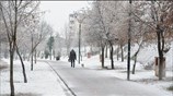 Η «Σοφία» έντυσε στα λευκά την Ελλάδα