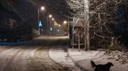 Αττική: Σταδιακή αποκατάσταση ηλεκτροδότησης στα βόρεια προάστια