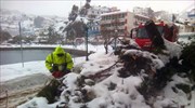 Πυροσβεστική: 36 κλήσεις για παροχή βοήθειας λόγω κακοκαιρίας