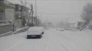 Σφοδρή χιονόπτωση στην Ήπειρο