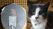 Βρετανία: Γάτα κατέστρεψε σπάνιο έργο τέχνης του 17ου αιώνα