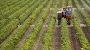 ΓΕΩΤ.Ε.Ε.: Τα προβλήματα που προκύπτουν από τη συμφωνία των Πρεσπών στον αγροδιατροφικό τομέα