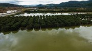 Ηλεία: Σε κατάσταση έκτακτης ανάγκης Πολιτικής Προστασίας Τοπικές Κοινότητες