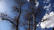 Αίθριος ο καιρός τη Δευτέρα - Σε άνοδο η θερμοκρασία