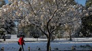 ΕΜΥ: Πυκνές χιονοπτώσεις, ψύχος και θυελλώδεις άνεμοι από το Σάββατο