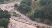 Body of missing stockbreeder found in Chania prefecture