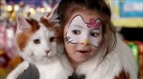 Μπισκέκ: Έκθεση αφιερωμένη στις γάτες