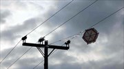Προσοχή στο πέταγμα των χαρταετών συνιστά ο ΔΕΔΔΗΕ