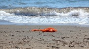 Εντοπίστηκε σορός 9χρονου κοριτσιού- πρόσφυγα νότια της Λέσβου