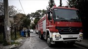 Εύβοια: Δασική πυρκαγιά στην Ιστιαία