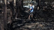Την Επ. Κατοίκων στο Μάτι θα καλέσει για ενημέρωση το υπουργείο Δικαιοσύνης