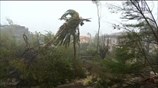 Ανθρωπιστική κρίση στη Μοζαμβίκη μετά τον κυκλώνα