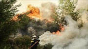 Λέσβος: Σε εξέλιξη δασική πυρκαγιά