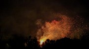 Λέσβος: Υπό πλήρη έλεγχο η φωτιά στο Πλωμάρι, στάχτη 100 στρέμματα