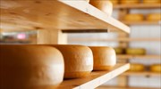 ΕΦΕΤ: Γιατί ανακαλεί τυρί από την αγορά