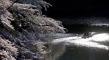 Ειδυλλιακή βόλτα