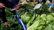 Κατερίνη: Δικάσιμος και πρόστιμο για 80χρονη που πουλούσε χόρτα