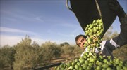 Επιμελητήριο Αρκαδίας: Τα αγροτοδιατροφικά προϊόντα του νομού στο επίκεντρο