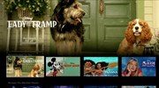 Η υπηρεσία video streaming Disney+ διαθέσιμη στις ΗΠΑ από τον Νοέμβριο