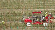 Νέα Ζηλανδία: Αγρότες μαζεύουν μήλα με ρομπότ