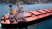 Share purchase program by Diana Shipping