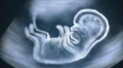 Έρευνα ανοίγει τον δρόμο για δημιουργία τεχνητών εμβρύων