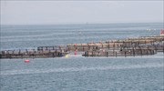 Στην Πιερία η πρώτη Περιοχή Οργανωμένης Ανάπτυξης Υδατοκαλλιεργειών